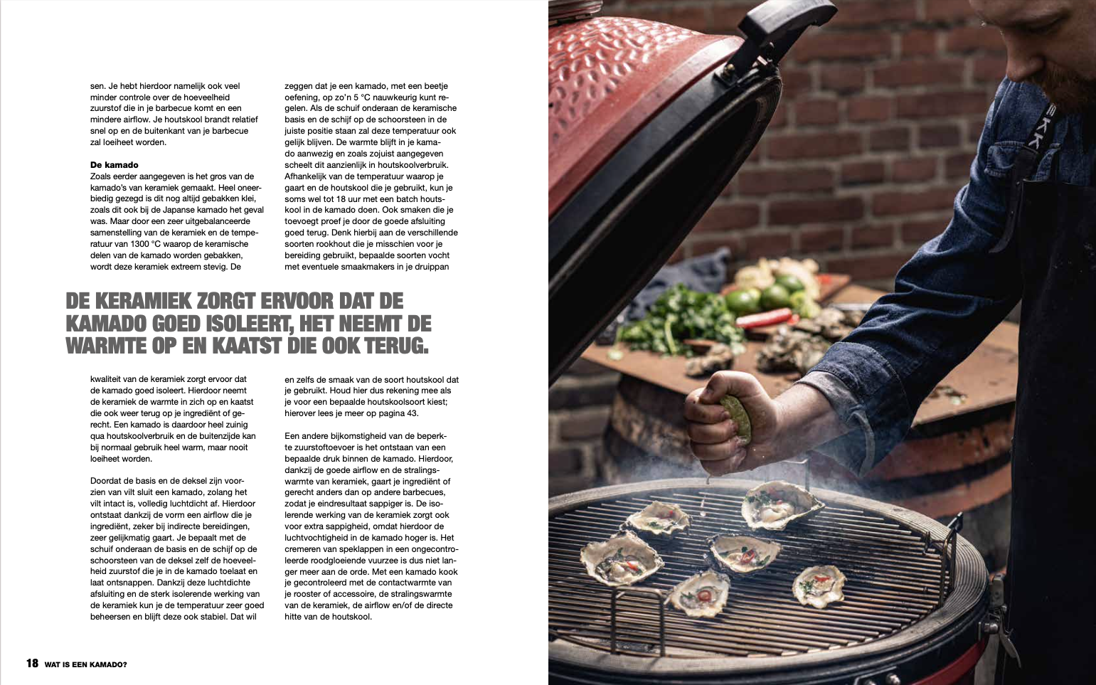 Het Ultieme Kamado Boek 
