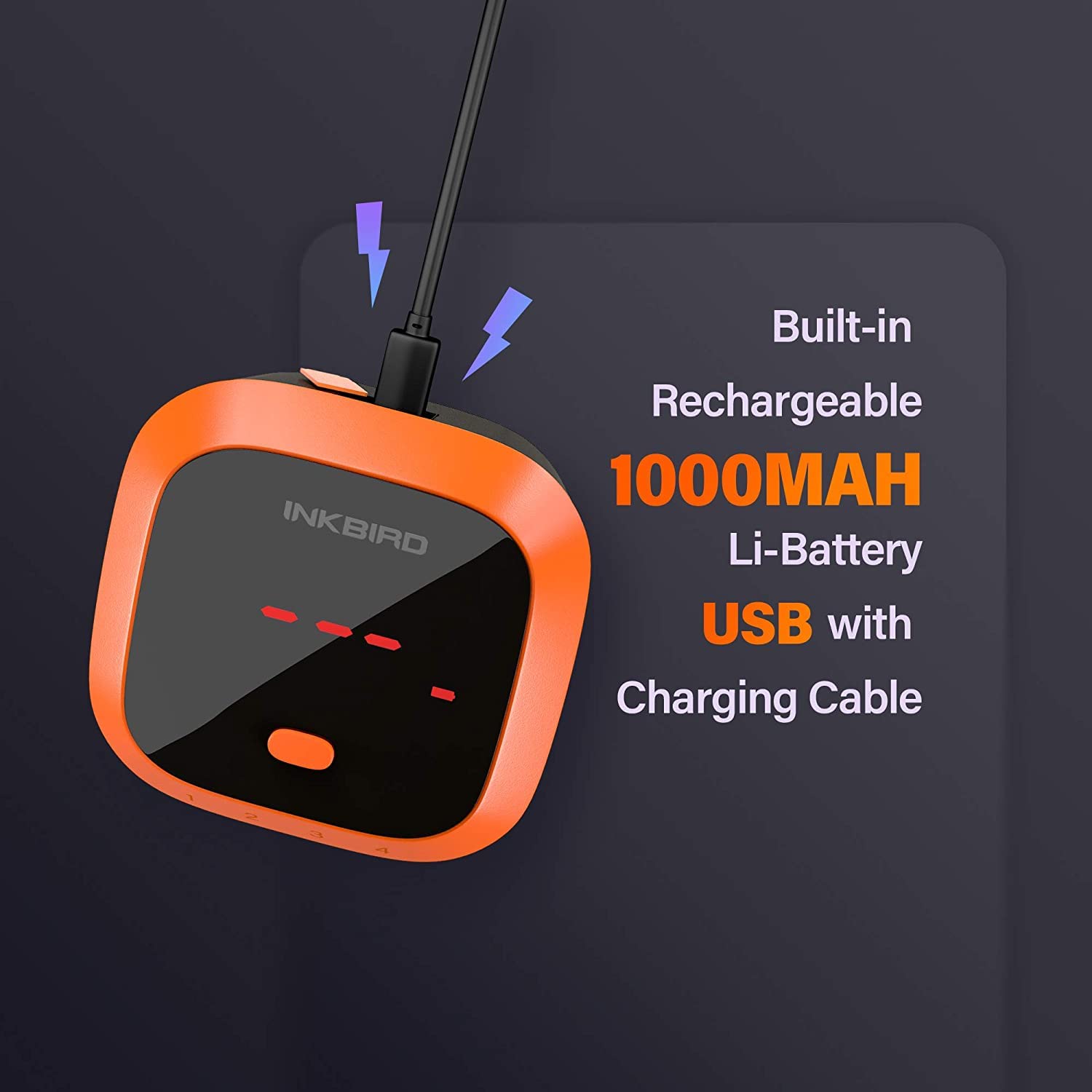 Inkbird IBT-4XC